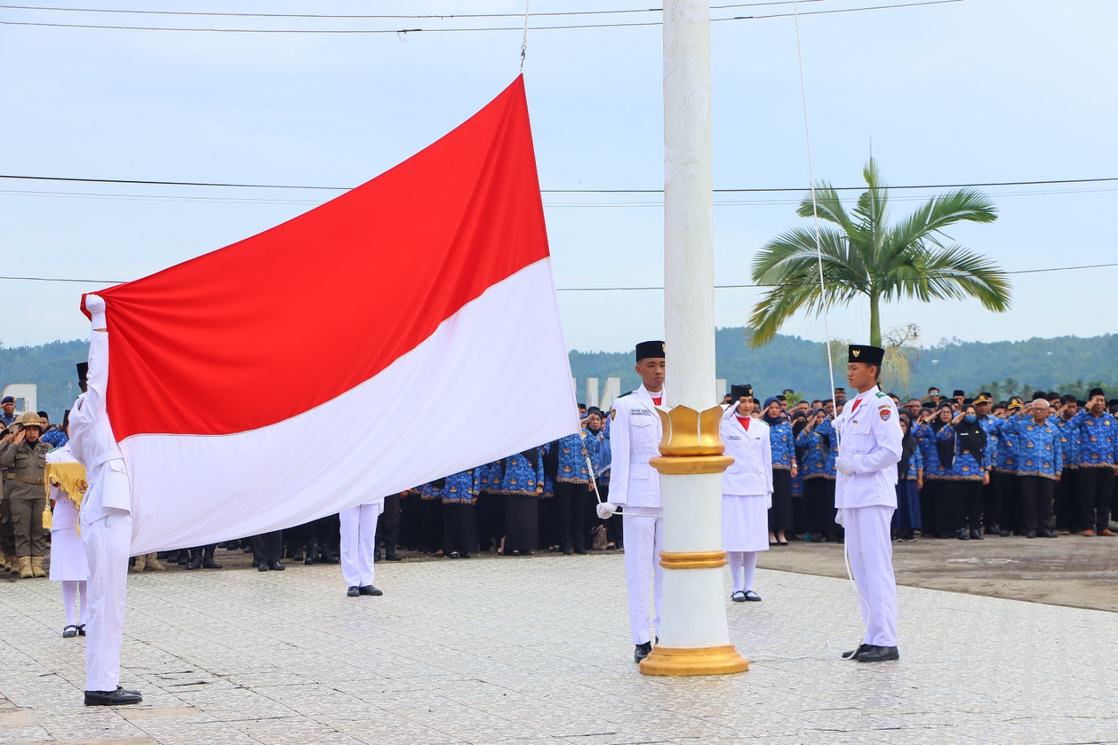 WhatsApp Image 2025 10 28 at 13.28.38 1