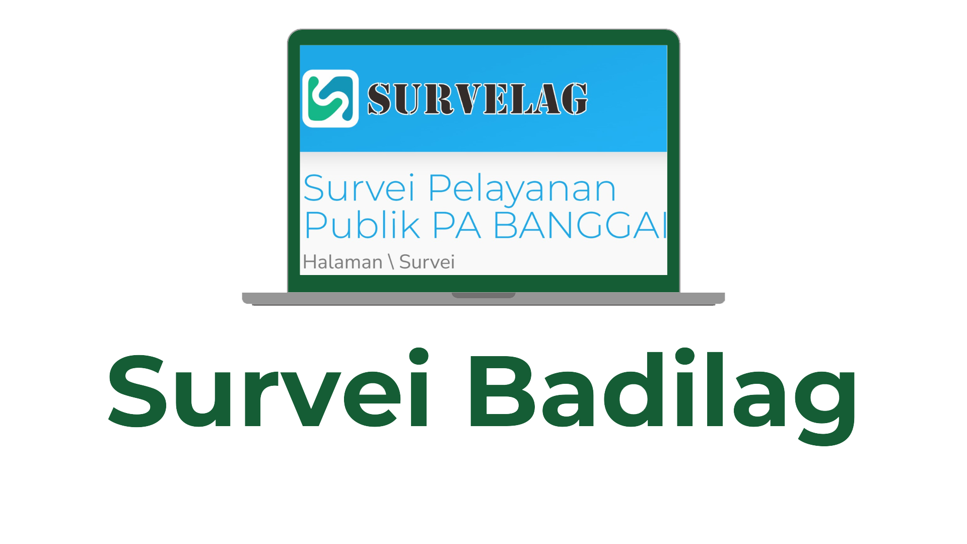 Survei Badilag